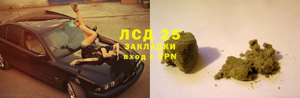 индика Белоозёрский
