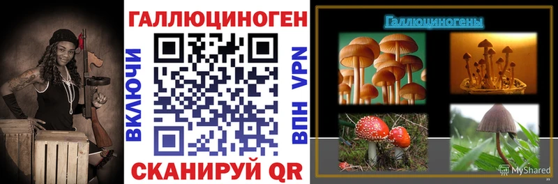 MEGA вход  Дудинка  Галлюциногенные грибы MAGIC MUSHROOMS 